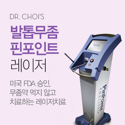 ���鹫�� ������Ʈ ������